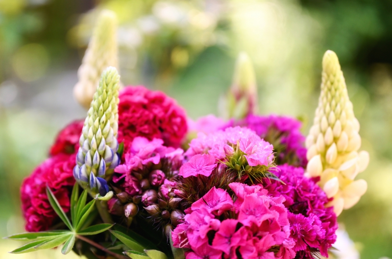 fleuriste-ST ANTONIN DU VAR-min_flowers-5369794